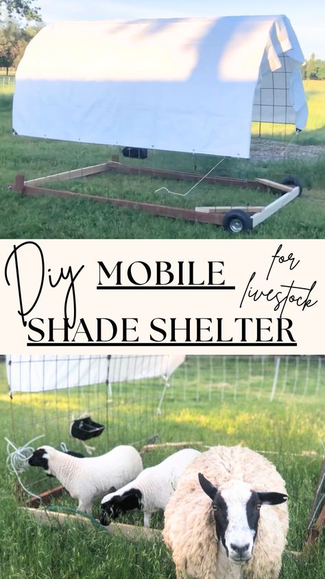 Mobile Goat Pen, Movable Goat Shelter, Pasture Shelter, Sheep Shelter, Barn Organization, Homestead Projects, Raising Sheep, Sheep Farming, Livestock Shelter