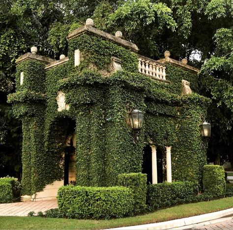 Green Luxury Aesthetic, Parterre Garden Design, Creeping Ivy, Film Alice In Wonderland, Parterre Garden, Luxury Landscaping, Countryside House, European Antiques, House Outside Design