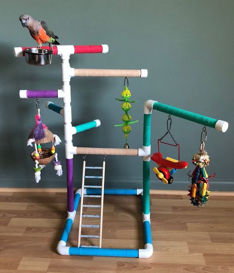 Bird Playstand/ Playgym/ Playground with Removable Stainless | Etsy Bird Play Gym, Parrot Play Stand, Homemade Bird Toys, Diy Parrot Toys, Diy Bird Toys, Budgie Toys, Bird Room, Parrot Stand, Pet Bird Cage