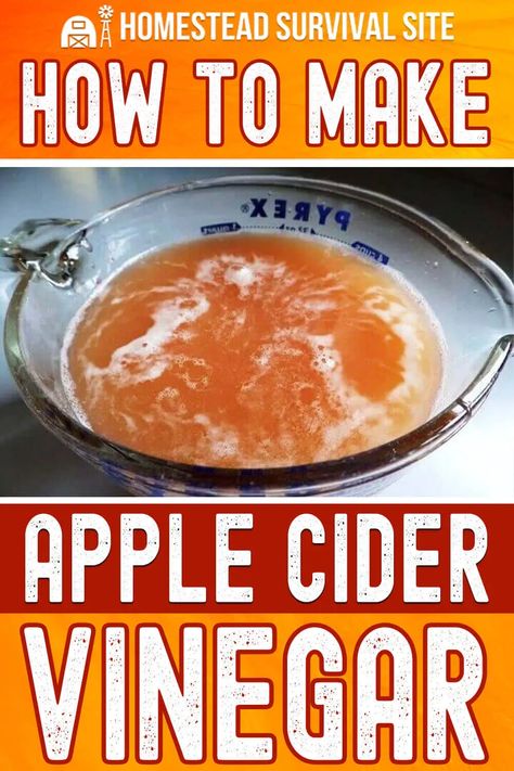 Apple cider vinegar has many uses and health benefits, so knowing how to make apple cider vinegar is great if you live off the grid. Apple Cider Vinegar Drink Recipes, Make Apple Cider, Diy Apple Cider, Making Apple Cider, Make Apple Cider Vinegar, Homemade Apple Cider, Apple Cider Benefits, Cold Sores Remedies, Hot Apple Cider