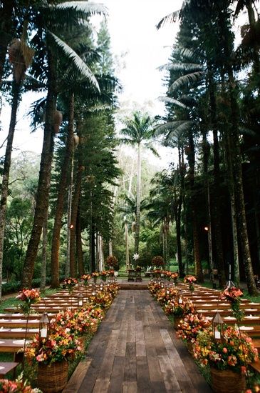 Lets get married in a jungle now shall we? #Jungleweddings Unique Destination Wedding, Wedding Ceremony Ideas, Destination Wedding Locations, Wedding Scene, Outdoor Venues, Wedding Aisle, Big Wedding, Forest Wedding, Tropical Wedding