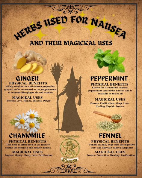 I have been very ill the last few days, but my Witchy Wife has been golden in nursing me. So she made this pin for all the people in the same predicament. Herbs have long been cherished in witchcraft for their healing properties, especially for ailments like nausea. 🌿 Ginger is a popular choice, known for its soothing effects on the stomach. 🍋 Lemon balm, with its calming aroma, is another favorite among practitioners. 🌼 Peppermint, often used in teas, can also help alleviate queasine... Ginger Witchcraft, Witchy Remedies, Daily Witchcraft, Latin Spells, Herbal Properties, Magick Herbs, Herbal Witch, Fennel Tea, Herbal Health