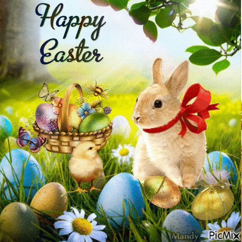 Blinking Happy Easter Bunny easter rainbow bunny easter quotes happy easter happy easter. easter pictures easter gif Happy Creepster, Gif Easter, Happy Easter Gif, Happy Easter Messages, Happy Easter Pictures, Easter Bunny Pictures, Happy Easter Greetings, Easter Messages, Happy Easter Wishes