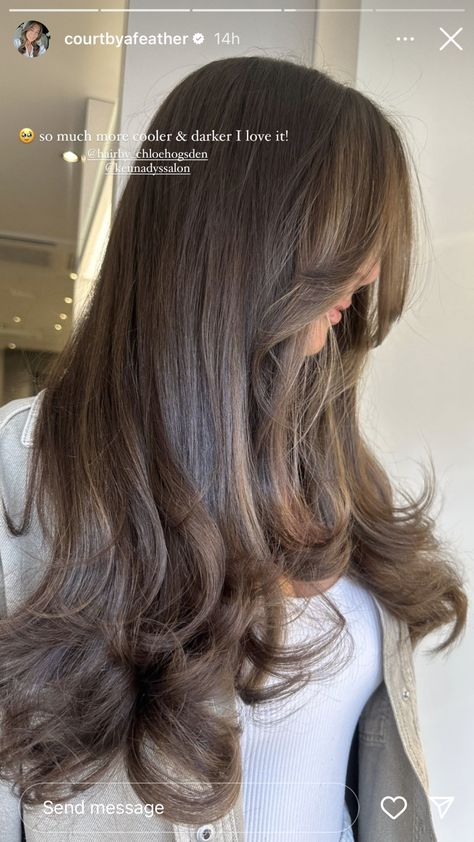 Milk Chocolate Brown Hair, Milk Chocolate Hair, Light Brunette Hair, Black Hair Balayage, Hair Color Chocolate, Brown Hair Looks, Brown Hair Inspo, Brunette Hair With Highlights, Chocolate Hair