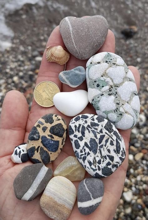 Beach stones. Collection of Lory Adry. Shells Aesthetic, Rock Stacking, Polished Rocks, Rock Collecting, Sea Stones, Rock Hunting, Rocks And Fossils, Rock And Pebbles, Beach Rocks