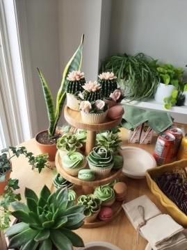 Boho Succulent Birthday Party, Plant Theme Party Decorations, Plant Themed Birthday Party Decor, Plant Theme Desserts, Plants And Prosecco, Plant Bachelorette Party Ideas, Plant First Birthday Party, Plant Theme First Birthday, Plant Themed Snacks