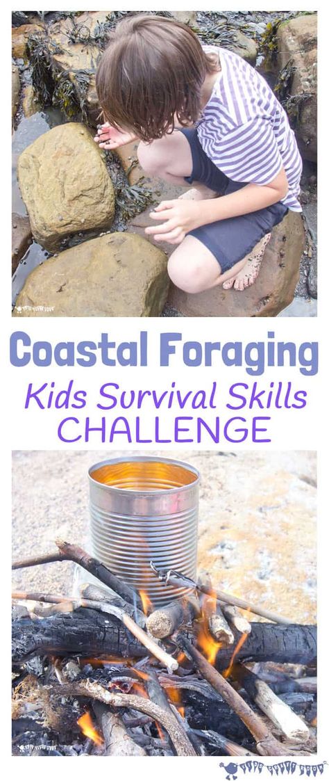 Survival Skills For Kids, Coastal Foraging, Kids Survival Skills, Suburban Homesteading, Homeschool Nature, Gardening Activities, Skills For Kids, Preschool Fall, Beach School