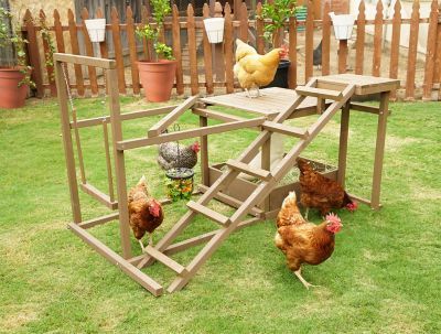 Chicken Coop Ideas Simple, Chicken Coop Ideas, Urban Chicken Farming, Pet Chicken, Portable Chicken Coop, Chicken Toys, Urban Chickens, Coop Ideas, Coop Design