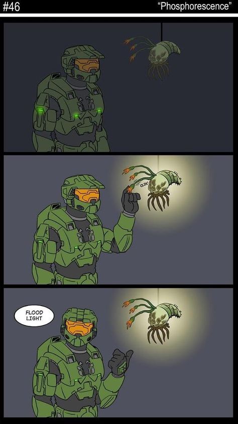 Flood Light Halo Flood, Halo Drawings, Halo Cosplay, Halo Funny, Halo Spartan, Funny Gaming Memes, Halo Master Chief, Halo Game, Halo Reach