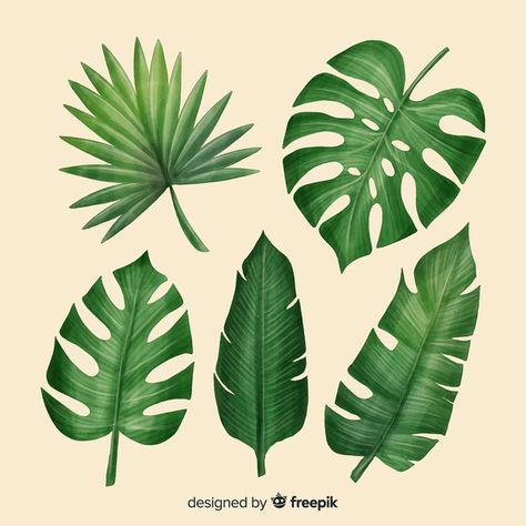 Realistic tropical leaf collection Vector | Free Download Tropical Leaves Illustration, Dark Leaves, Leaves Doodle, Tropical Flowers Pattern, Green Leaf Background, Leaf Collection, Tropical Background, Tropical Leaves Pattern, Palm Leaves Pattern