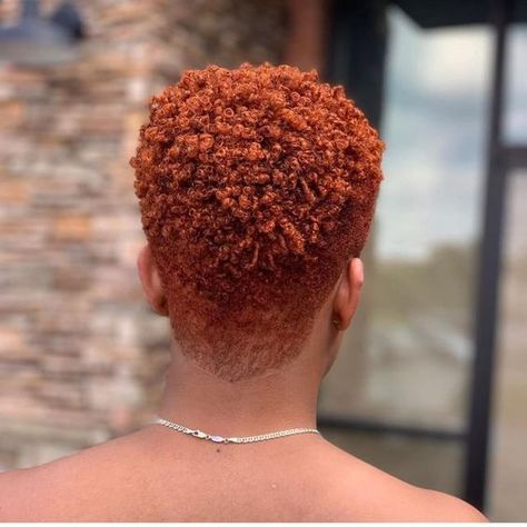 Ginger Hair Color Short Pixie Haircuts Black Women, Ginger Twa Natural Hair, Ginger Hair Black Women Natural Short, Short Ginger Hair Black Women, Ginger Pixie Haircut Black Women, Cherry Red Hair Color, Low Cut Hairstyles, Tapered Natural Hair Cut, Coiling Natural Hair