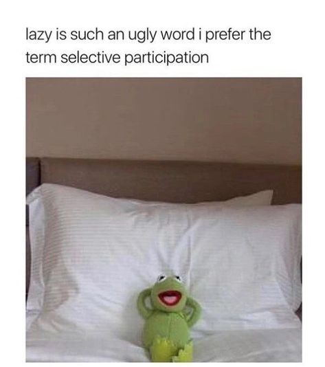 Muppet Meme, Introvert Meme, Kermit Memes, Lazy Person, Brain Damage, Memes Br, Hilarious Memes, Comedy Central, I Deserve