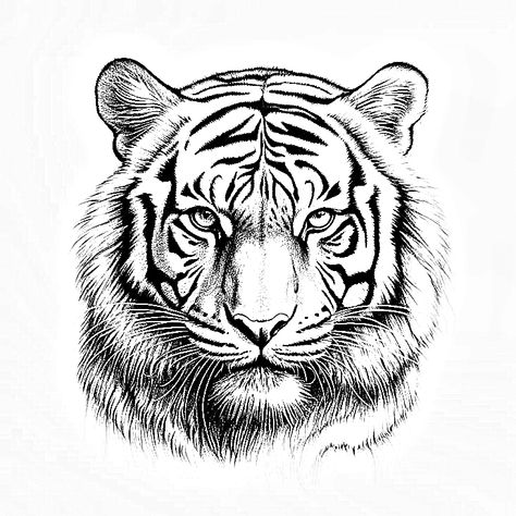 Tiger Head Tattoo Design, Tiger Face Tattoo, Collage Tattoo, Tiger Head Tattoo, Tattoo Linework, Persian Warrior, Basic Tattoos, Special Tattoos, Tattoo Reference