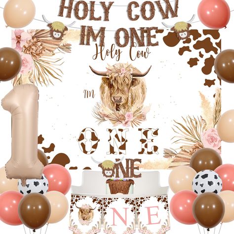 1st Birthday Party Cow Theme, Hi Land Cow Birthday, Highland Cows First Birthday, Highland Birthday Party, Highland Cow Birthday Theme, Cow Theme 1st Birthday Party Girl, Highland Cow Birthday Party Ideas, Highland Cow First Birthday Girl, Highland Cow Baby Shower Decorations