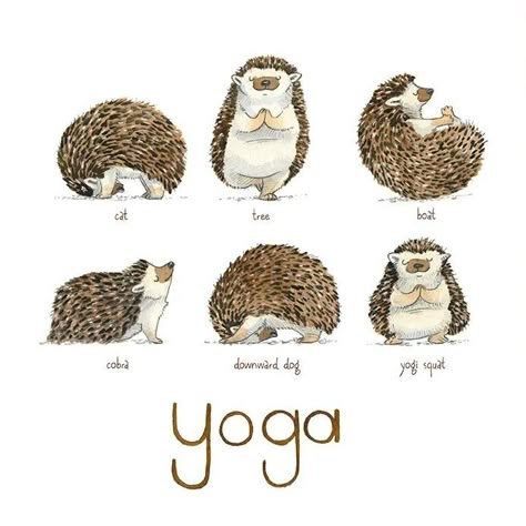 Yoga Group, Hedgehog Drawing, Yoga Positions, Downward Dog, Cute Hedgehog, Deer Print, Watercolor Animals, Pictures To Paint, Doodle Drawings