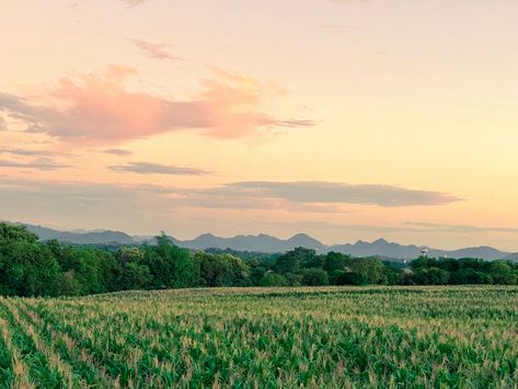 Khaoyai Thailand Khaoyai Thailand, Thailand