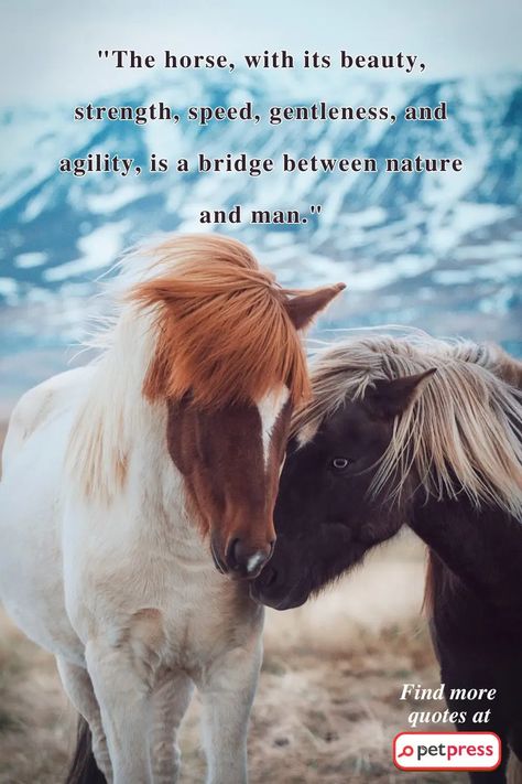 Can't get enough of the majestic spirit of horses? 🐎💫 Our blog '50 Inspiring Horse Quotes to Find Your Inner Stallion', is just for you! Each quote beautifully encapsulates the power, freedom, wisdom, and beauty personified by horses. These quotes aren't only about horses, they're about YOU and the journey towards finding your inner strength 💪. 📌💖 #HorseQuotes #EquestrianInspiration #StallionStrength #FindYourFreedom Best Horse Names, Horses Quotes, Inspirational Horse Quotes, Horse Inspiration, Horse Names, Horse Quotes, Sewing Art, Inner Strength, Art Designs