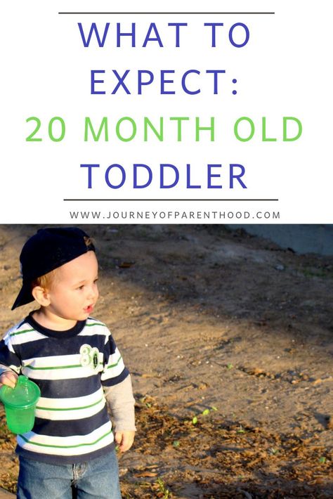 What to expect with a 20 month old toddler boy - toddler development and milestones in the first year of life. #toddler #20monthsold #toddlerdevelopment 20 Month Old Milestones, Toddler Milestones, Development Milestones, Monthly Pictures, Old Dress, Toddler Development, Parenting Toddlers, Girl Toddler, Toddler Learning Activities