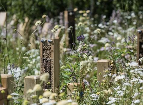 Hampton Court Gardens, Insect Garden, Hampton Court Palace Gardens, Hotel Landscape, Bug Hotel, Insect Hotel, Garden Festival, Dry Stone, Wildlife Gardening