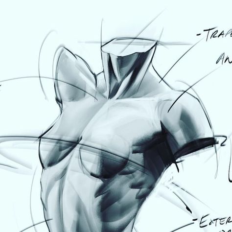 Joshua Black on Instagram: "Torso sketch! #sketches #anatomy #lineart #doodle #figuredrawing #gesture #femaletorso" Female Abs Drawing Reference, Torso Sketch, Torso Study, Sketches Anatomy, Sketch Female, Art Core, Female Torso, Female Drawing, Sketching Drawing