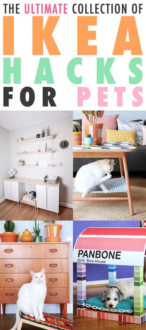 The Ultimate Collection of IKEA Hacks For Pets - The Cottage Market Ikea Hacks For Cats, Ikea Dog, Cat Litter Cabinet, Ikea Sideboard, Pet Station, Dog Bed Modern, Hacks Ikea, Cat Hotel, Ikea Finds