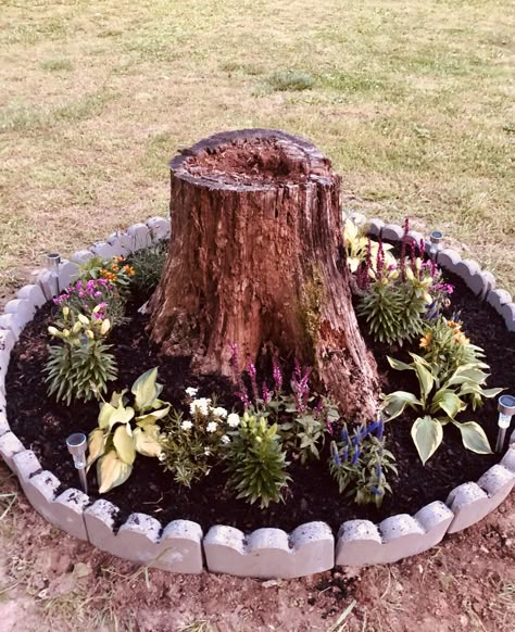 Using Fallen Trees In Landscaping, Yard Decor Around A Tree, Garden Around Tree Stump, Backyard Stump Ideas, Old Stump Ideas Front Yards, Garden Tree Stump Ideas, Tree Stump Flower Bed, Landscaping Around Tree Stumps, Old Stump Ideas