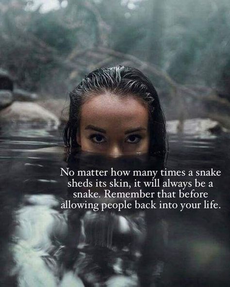 A snake will always be a snake ...never trust a snake cuae you will ne bitten when you least expect it ..... Snake Shedding, A Snake, A Quote, Focus On, Life Lessons, Wise Words, Favorite Quotes, Me Quotes, Words Of Wisdom