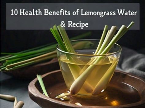 Lemongrass Infused Water: Benefits, Recipe, Uses, & Risk Lemon Grass Benefits, Fruit Water Recipes Health Benefits, Infused Water Benefits, Fruit Water Recipes, Watermelon Health Benefits, Water Health Benefits, Watermelon Benefits, Drinks Recipe, Water Health