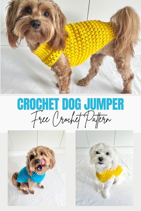 Dog Jersey Crochet Pattern, Crochet Dog Jersey Free Pattern, Dog Dress Crochet Pattern Free, Crochet Dog Vest Free Pattern, Free Crochet Dog Sweater Pattern Easy, Small Dog Crochet Patterns, Crochet Dog Sweater Free Pattern Medium, Bog Coats, Free Dog Crochet Patterns