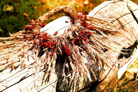 Slavic Magic: Rituals, Spells, and Herbs Ukrainian Mythology, Pagan Calendar, Slavic Paganism, Paganism Spells, Slavic Mythology, Slavic Folklore, Roots And Wings, Pagan Rituals, Folk Magic