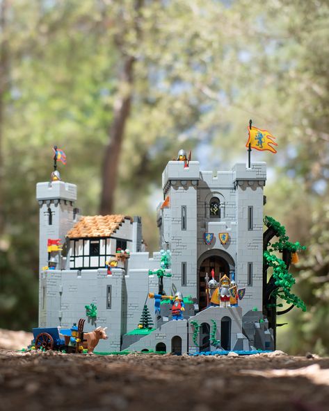 Lion Knights'Castle | Four Bricks Tall | Flickr Lion Knight, Lego Knights, Lego Castle, Toys Photography, Knights, Bird House, Lion, Lego, Castle