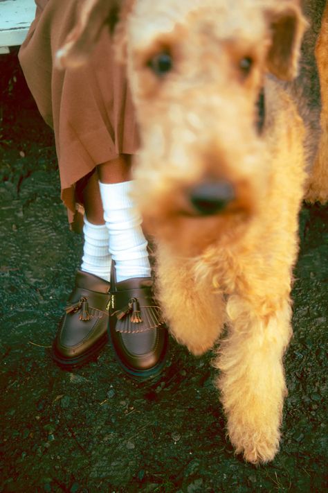 Luxe Branding, Wes Anderson Wedding, Earth Baby, Vogue Editorial, Branding Shoot, Green Dot, Dog Wear, Tassel Loafers, Tyler The Creator