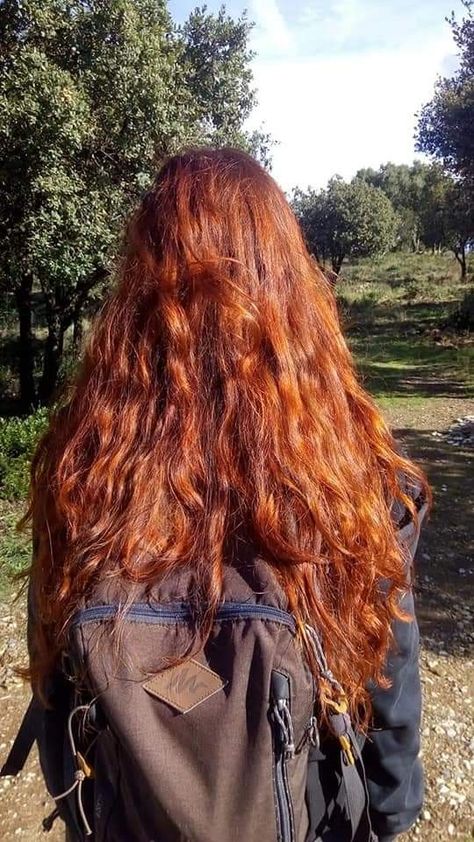 Ginger Hair Redish, Long Copper Brown Hair, Long Ginger Hair Aesthetic, Red Hair Inspiration, Hair Motivation, Ginger Hair Color, Long Red Hair, Orange Hair, Hair Inspo Color