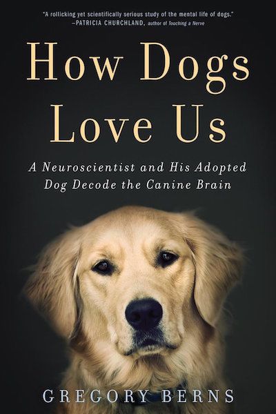 Books About Dogs, Adopted Dog, Amazon Publishing, Brain Book, Dog Brain, Dog Stories, Dog Books, Love Us, Dogs Love