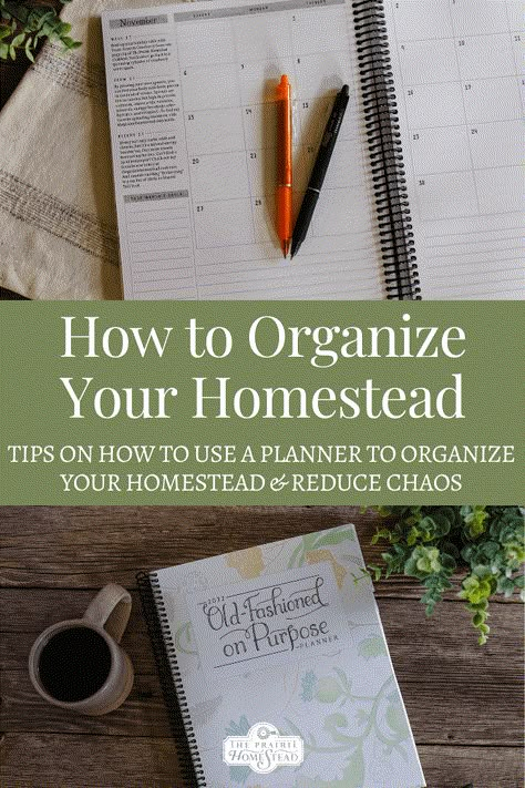 How to Organize Your Homestead with a Planner Seed Inventory, The Prairie Homestead, Homestead Layout, Prairie Homestead, How To Make Planner, Modern Homesteading, Homesteading Diy, Homestead Farm, Stay Sane