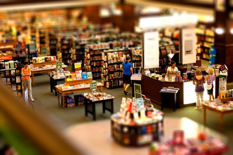 "A Little Reading" - Tilt Shift photo by Jacob Waites Tilt Shift Photos, Tilt Shift Photography, It's All About Perspective, Camera Movements, Senior Project, All The Small Things, Tilt Shift, Slip And Slide, Diy Shoes