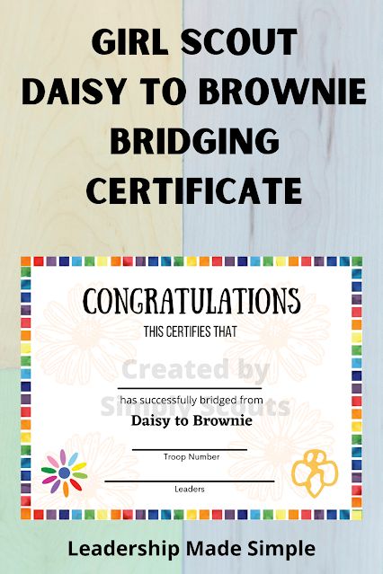 Daisy To Brownie Bridging Certificate, Daisy To Brownie Bridging Ceremony, Daisy Bridging Ceremony, Brownie Bridging Ceremony, Girl Scout Bridging Ceremony Ideas, Bridging Ceremony Ideas, Girl Scout Bridging Ceremony, Girl Scout Daisy Petals, Girl Scout Daisy Activities