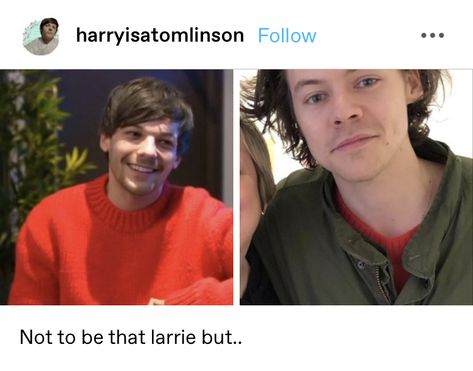 Larry Stylinson Proof, Larry Proof, Louis Tomlinson Harry Styles, Louis Imagines, Omari Hardwick, 1d Day, Harry Styles Memes, One Direction Facts, One Direction Interviews