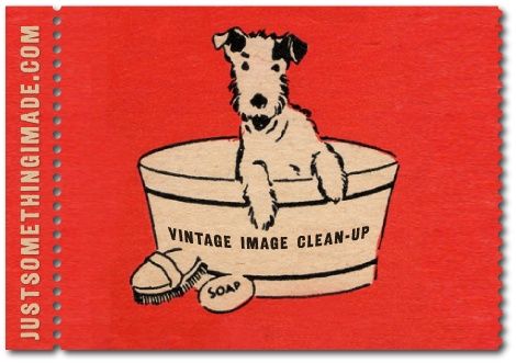 동화 삽화, Retro Dog, 강아지 그림, Fox Terriers, Wire Fox Terrier, Creative Lifestyle, Dog Images, Fox Terrier, Vintage Dog