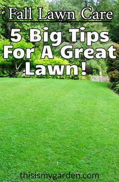 Garden Bridge Ideas, Create A Flower Bed, Garden Patio Designs, Fall Lawn Maintenance, Pond Inspiration, Overseeding Lawn, Bridge Ideas, Fall Lawn Care, Flower Bed Decor