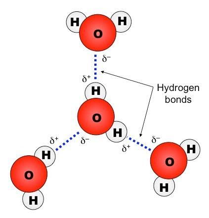 Types of Chemical Bonds | A Level Chemistry Revision Notes A Level Chemistry Revision, A Level Chemistry, Ionic Compounds, Chemical Bonds, Chemistry Revision, Ionic Compound, Ionic Bonding, Electron Configuration, Covalent Bonding