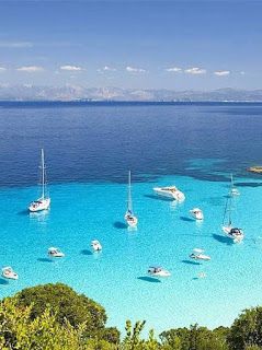 Yacht Holiday, Italy Sardinia, Sail Yacht, Vacation In Italy, Luxury Cabins, Sailing Holidays, Underwater Life, Yacht Charter, Sailing Yacht