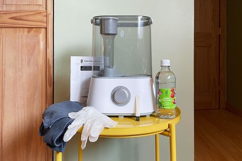 How to Clean a Humidifier, According to Experts Itchy Skin Rash, How To Clean Humidifier, Winter Survival, Portable Humidifier, Humidifiers, Cleaning Schedule, Hard Water, A Shelf, Cleaning Hacks