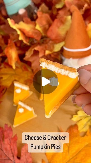 Pumpkin Pie Cheese Crackers, Thanksgiving Shaped Food, Cheese Cracker Pumpkin Pie, Cheese And Cracker Pies, Cheese Crackers Pumpkin Pie, Cheese And Cracker Pumpkin Pie, Pumpkin Pie Cheese And Crackers, Cheese Pumpkin Pie Crackers, Cheese And Crackers Pumpkin Pie