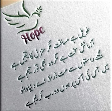 Urdu Ashar, Trending Wallpapers, Whatsapp Profile Wallpaper, Islamic Shayari, Savvy Quotes, Urdu Quotes Images, Best Poetry, Impress Quotes, Poetry Ideas