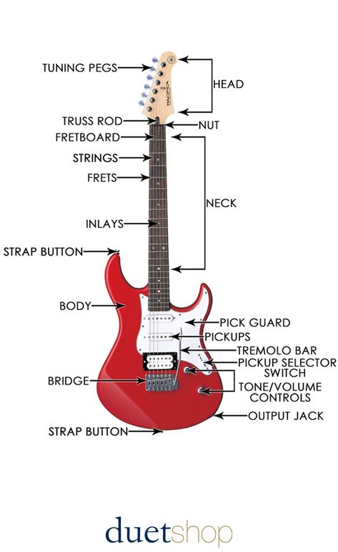 Electric Guitar Anatomy, Parts Of A Guitar, Electric Guitar Models, Electric Guitar Types, How To Play The Electric Guitar, Electric Guitar Learning, How To Learn Electric Guitar, Electric Guitar Tips, Electric Guitar Notes