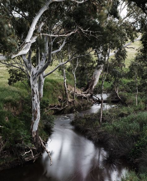 Did you know that Marnong was named because it’s an abbreviation of Maribyrnong – the river in which Deep Creek forms at the junction with Jacksons Creek near Keilor? You can overlook Deep Creek from our Bankvale Run Restaurant across to the Macedon Ranges. Marnong is still a significant place in Melbourne’s North and is steeped in rich cultural history – come and see for yourself. Places In Melbourne, Macedon Ranges, Melbourne Airport, Melbourne Cbd, Private Dining, Come And See, Melbourne, Special Events, Water