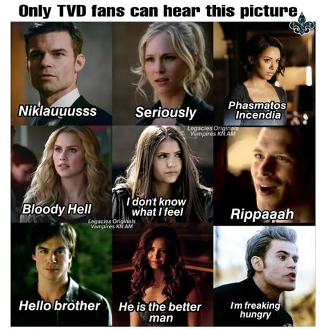 Klaus From Vampire Diaries, Oc California, Vampire Diaries Memes, The Vampire Diaries Characters, Vampire Diaries Poster, Vampier Diaries, The Vampire Diaries 3, Vampire Diaries Movie, Vampire Diaries Quotes