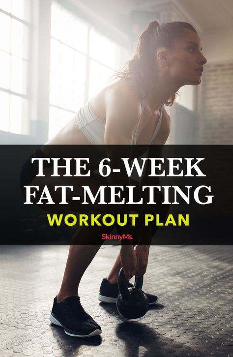 6 Week Workout, Workout Morning, Workout Fat Burning, Carb Cycling, Popular Workouts, Fat Loss Workout, Weekly Workout, Belly Fat Workout, Diet Keto