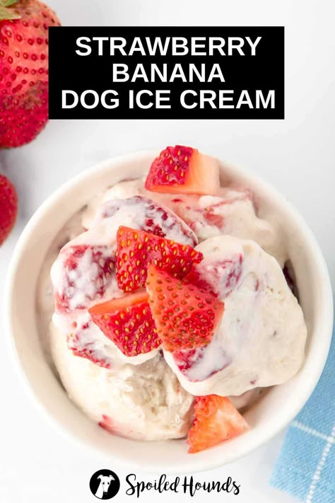 Ice Cream For Dogs, Dog Ice Cream Recipe, Puppy Ice Cream, Yogurt Homemade, Frosty Paws, Easy Dog Treat Recipes, Frozen Dog Treats, Dog Biscuit Recipes, Dog Ice Cream